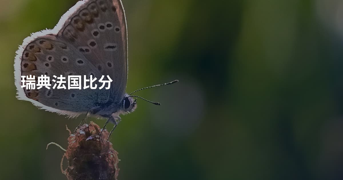 瑞典法国比分