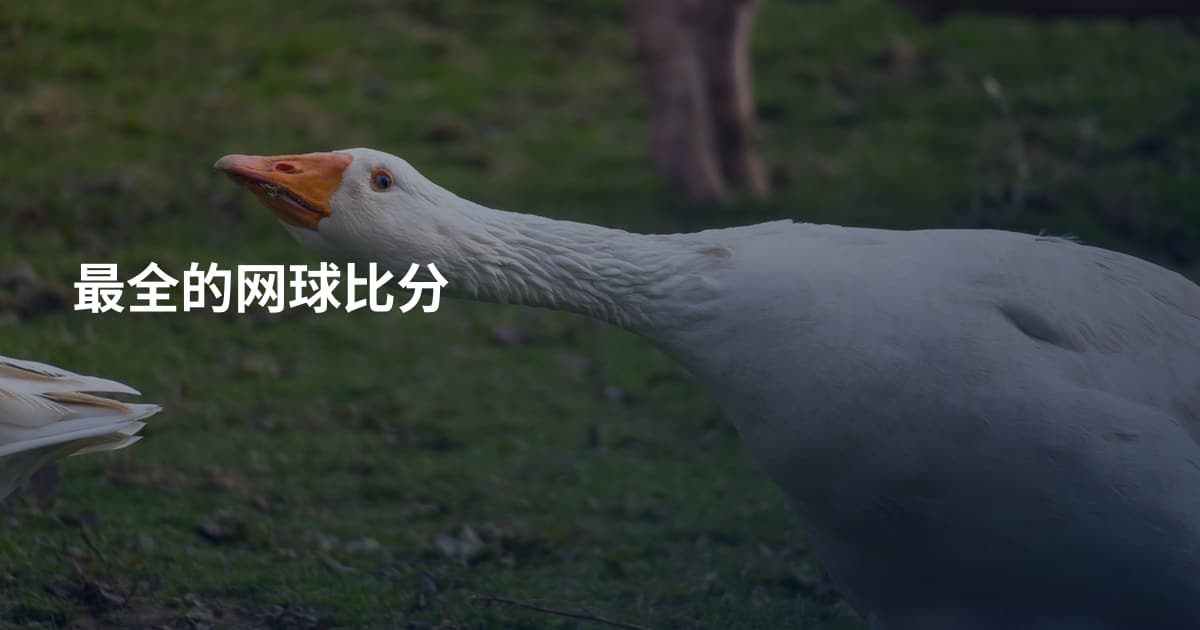 最全的网球比分
