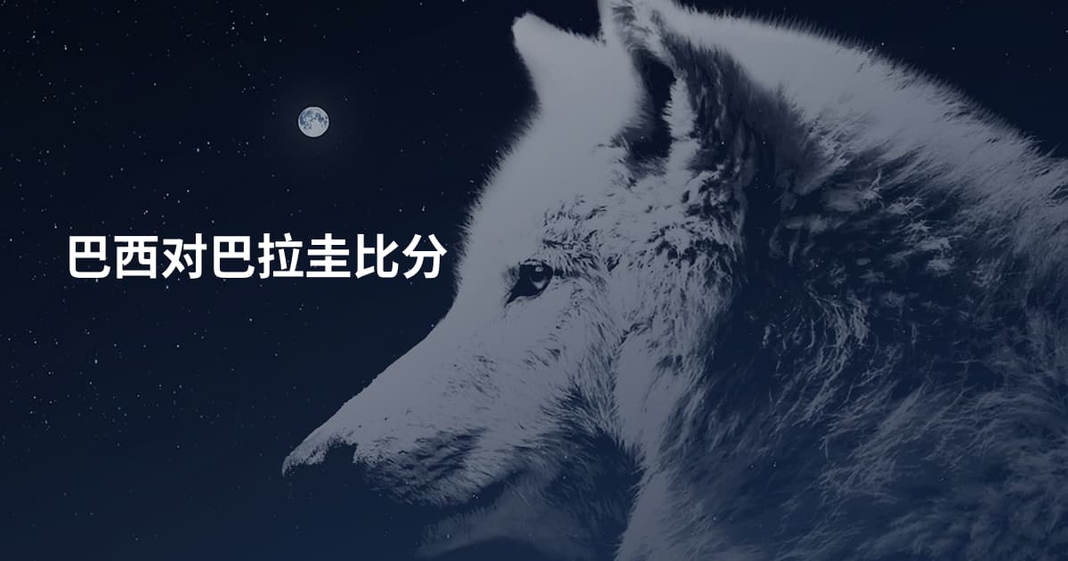 巴西对巴拉圭比分
