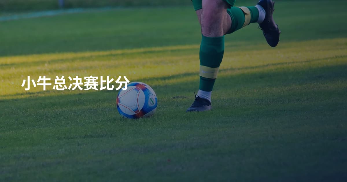 小牛总决赛比分