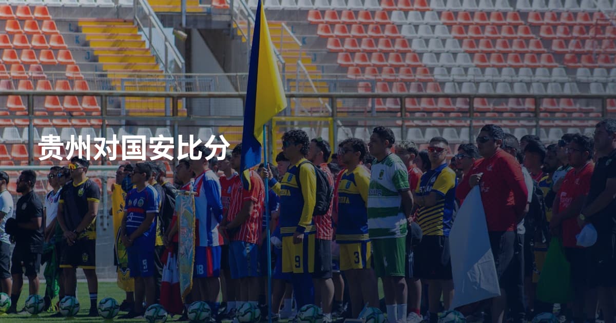 贵州对国安比分