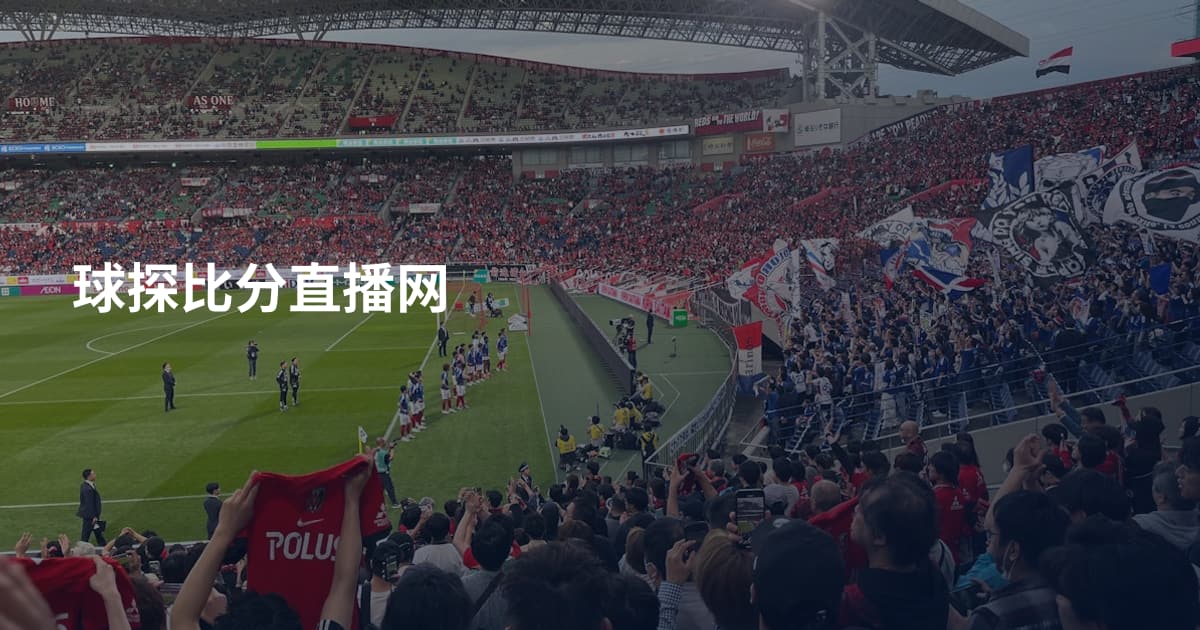 球探比分直播网