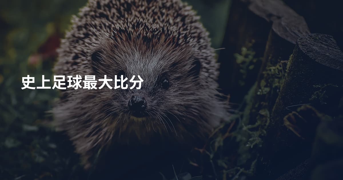 史上足球最大比分