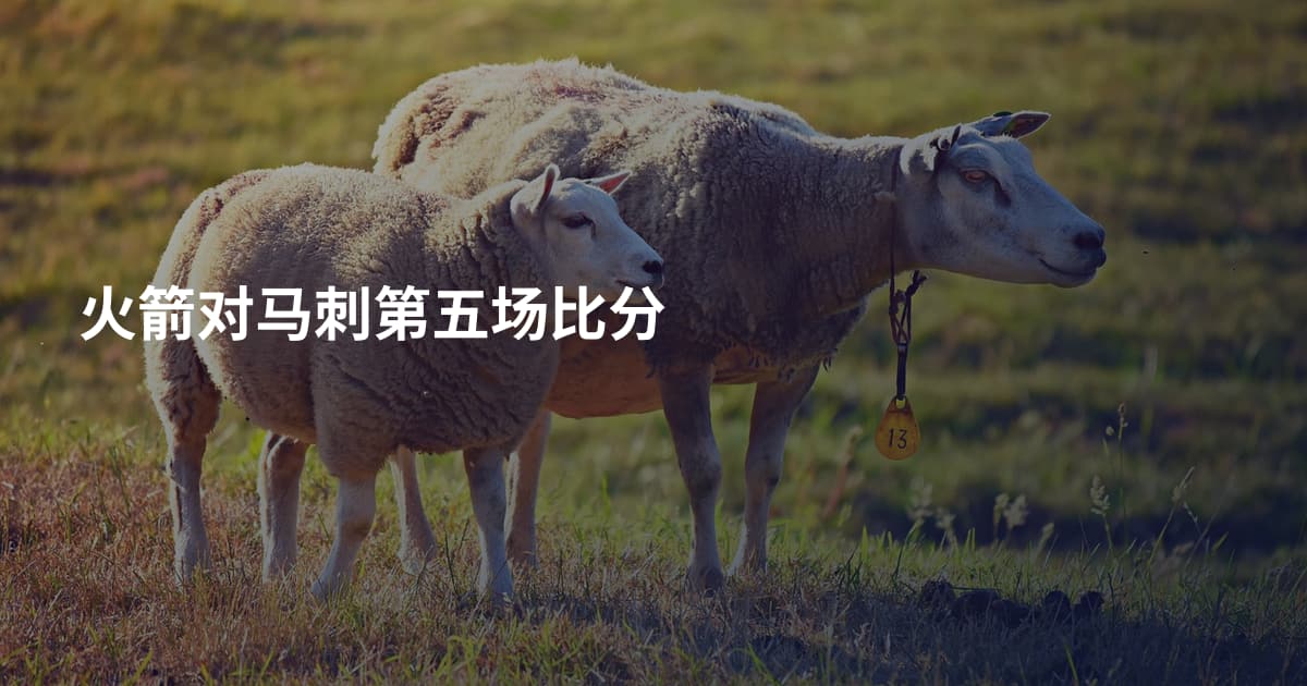 火箭对马刺第五场比分