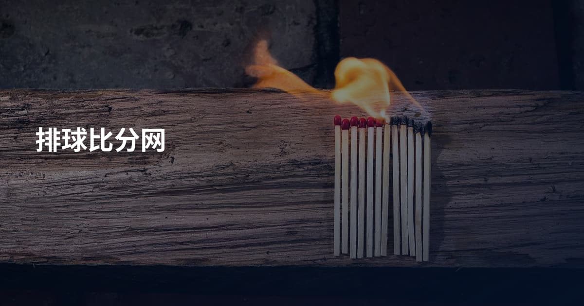 排球比分网