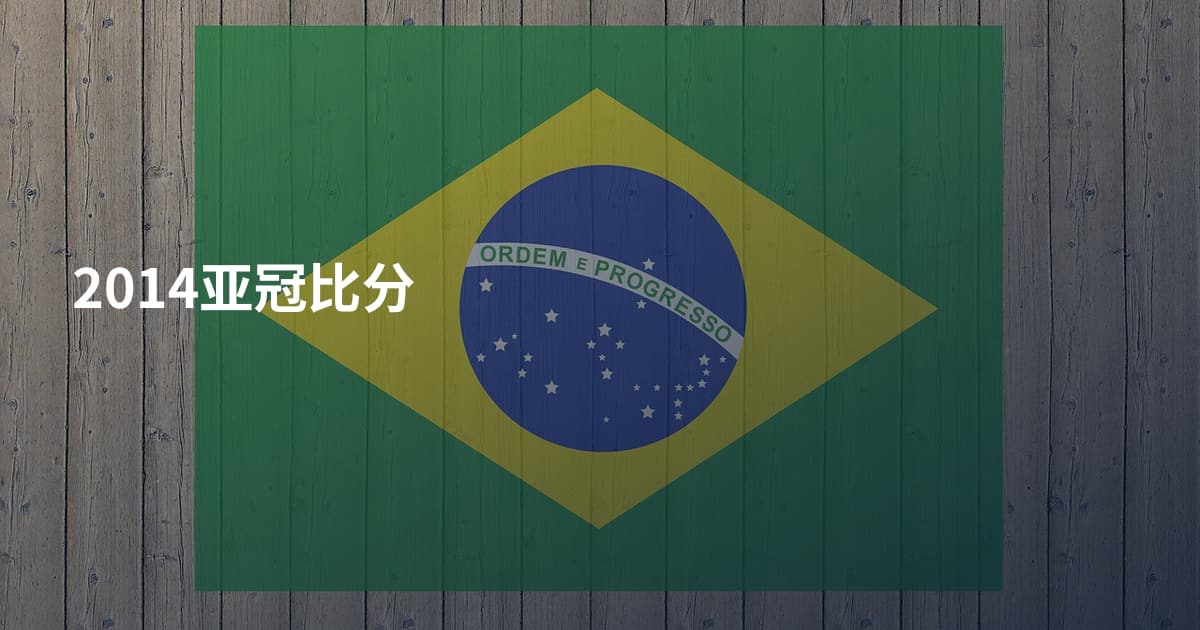 2014亚冠比分