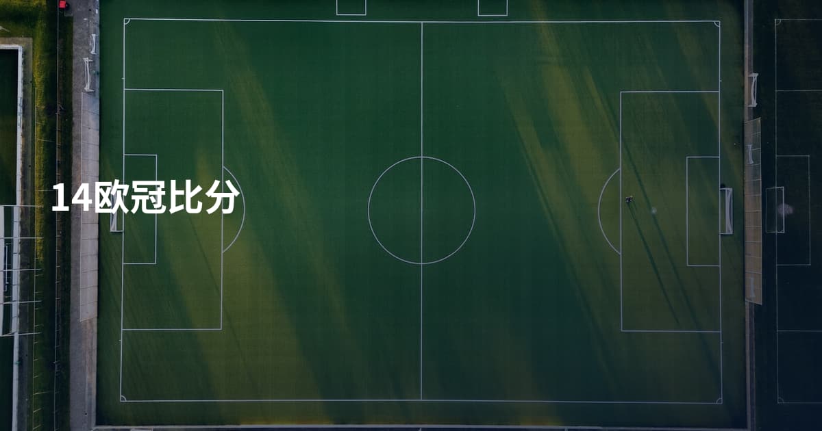 14欧冠比分