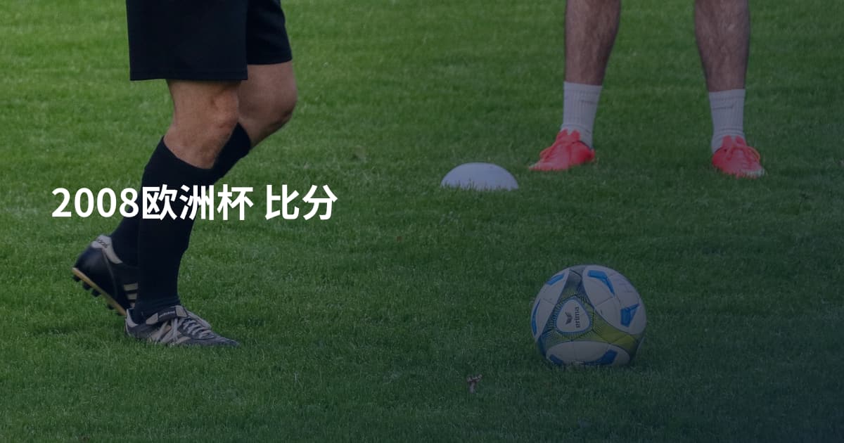 2008欧洲杯 比分