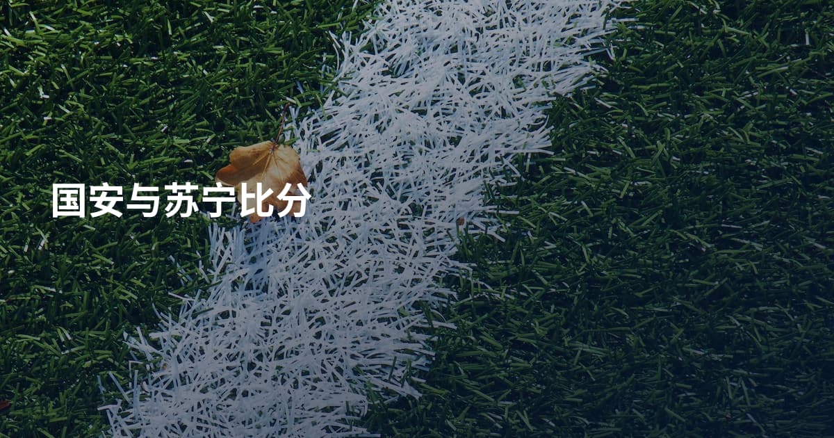 国安与苏宁比分