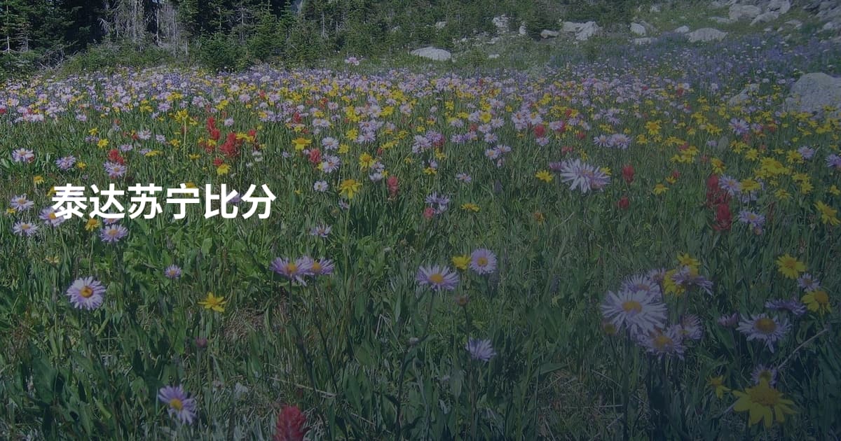 泰达苏宁比分