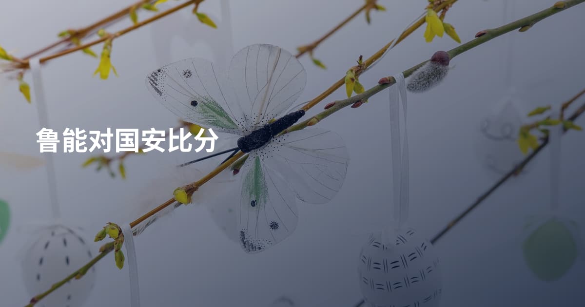 鲁能对国安比分