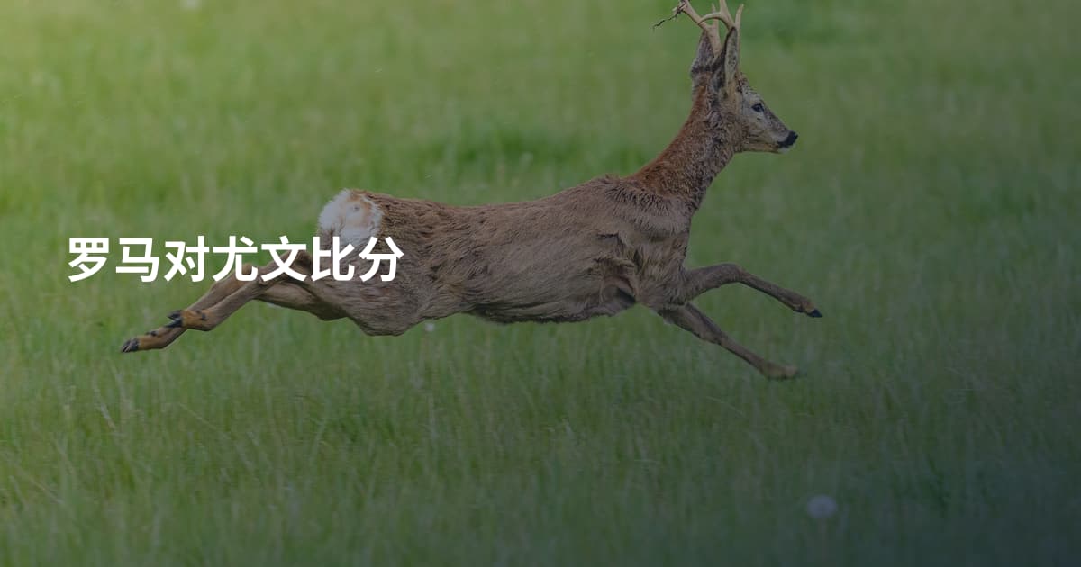 罗马对尤文比分