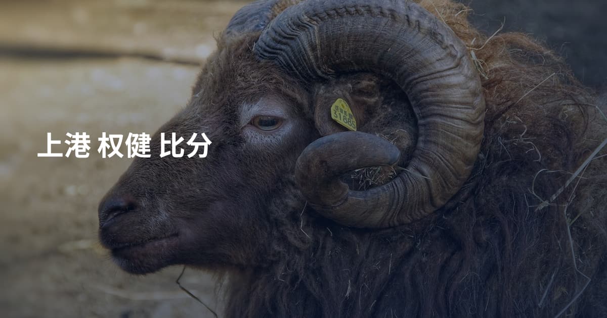 上港 权健 比分