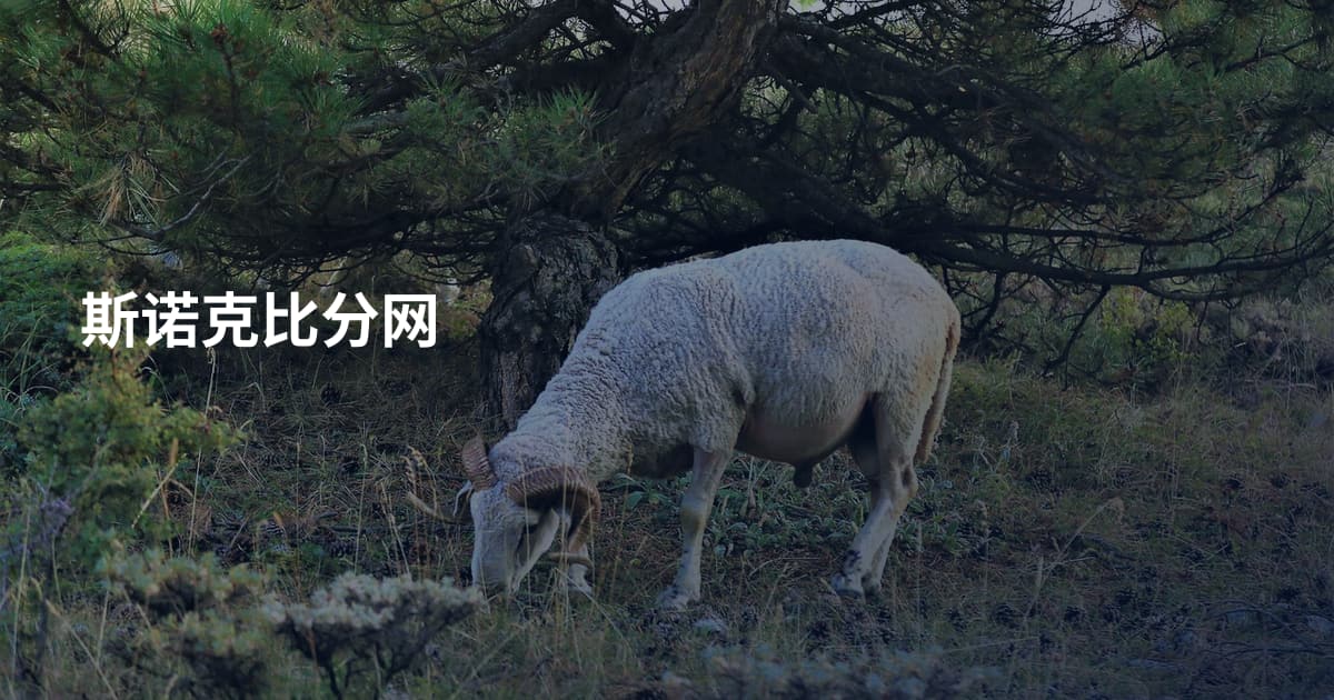 斯诺克比分网
