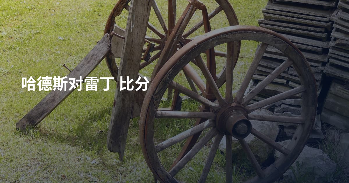 哈德斯对雷丁 比分
