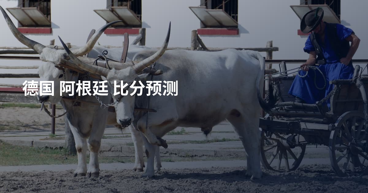 德国 阿根廷 比分预测
