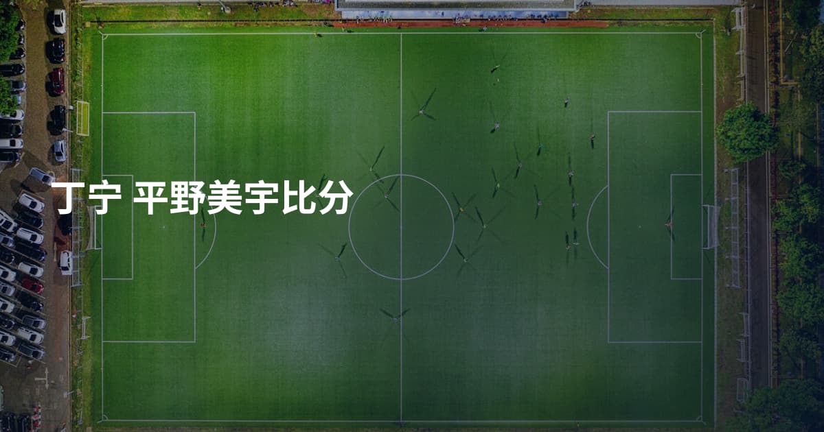 丁宁 平野美宇比分