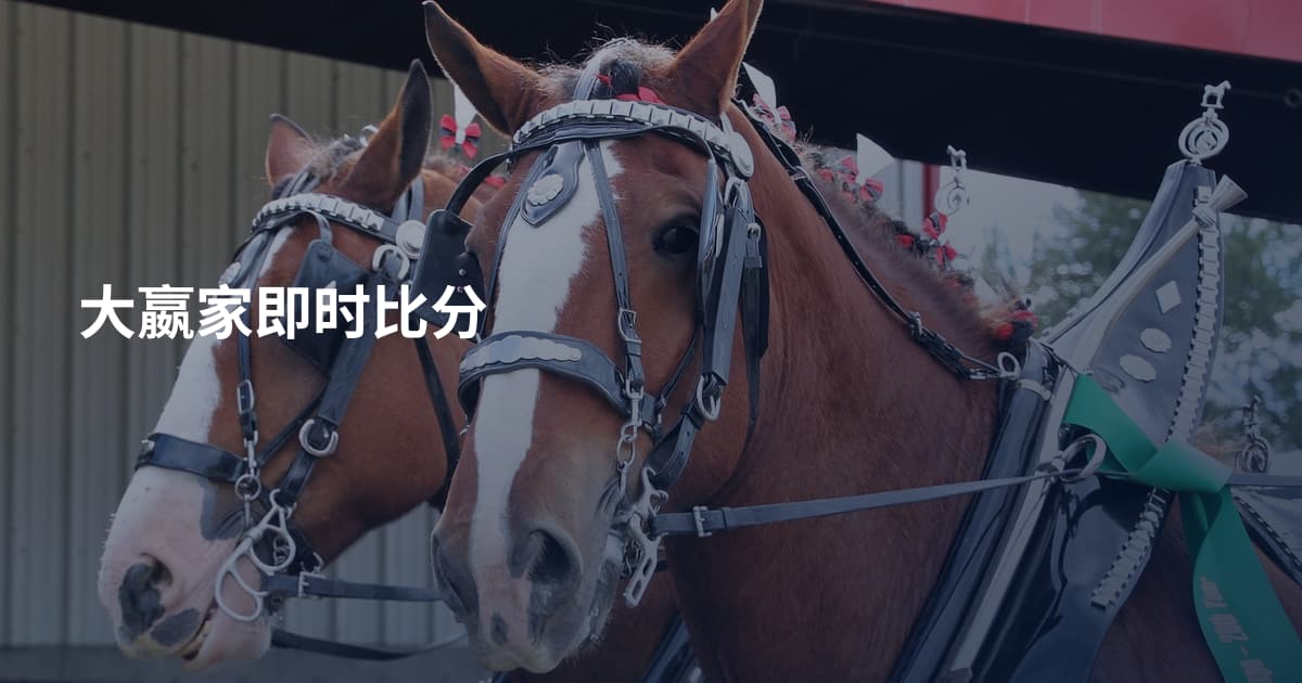 大嬴家即时比分