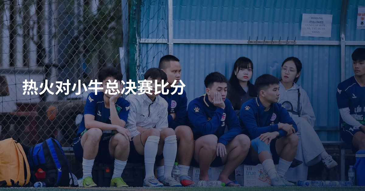 热火对小牛总决赛比分