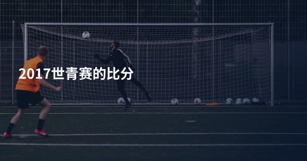2017世青赛的比分