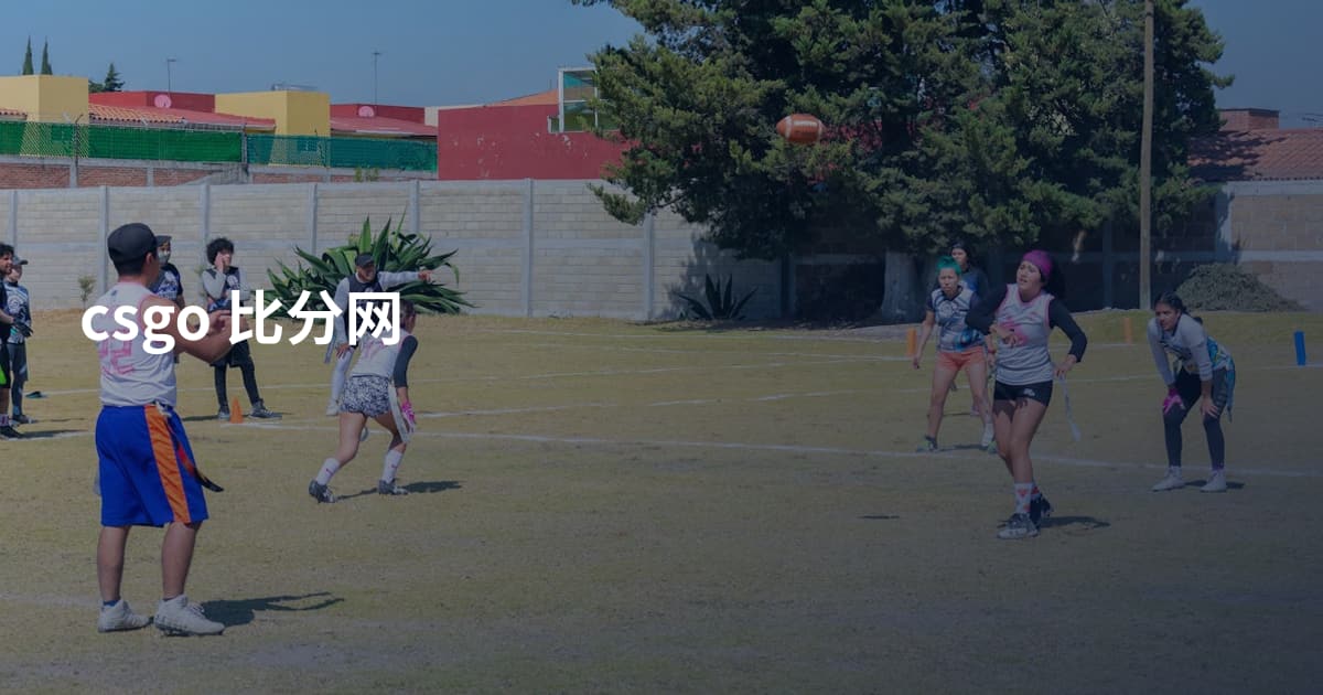 csgo 比分网