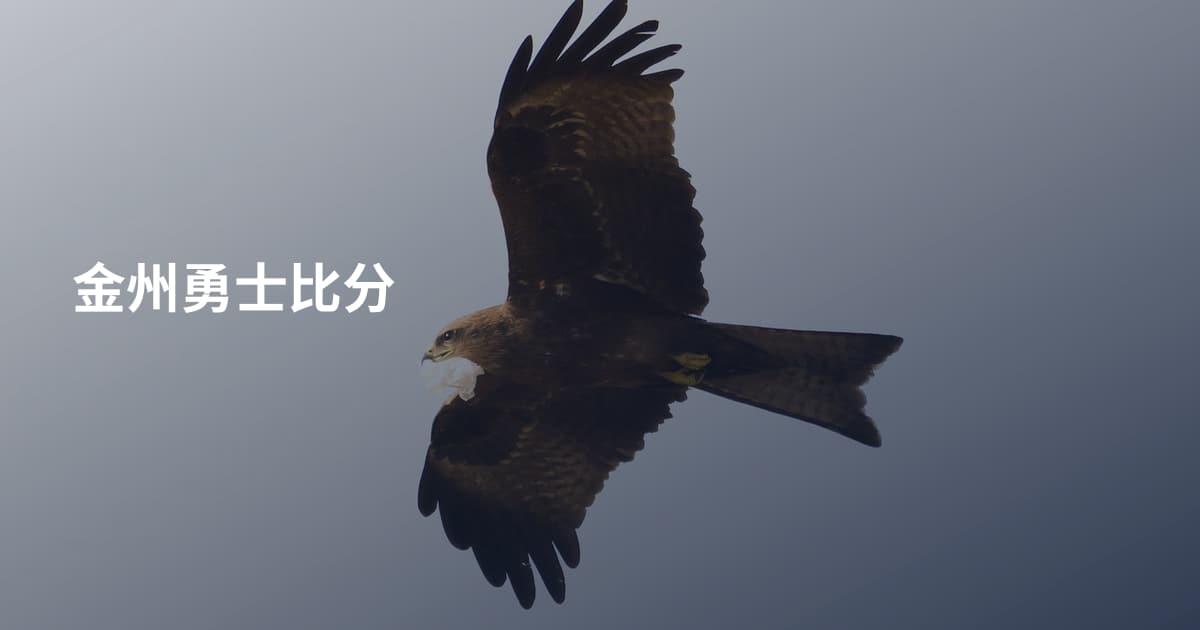 金州勇士比分