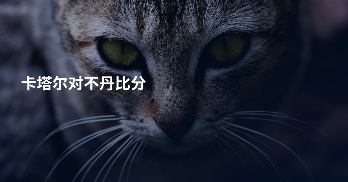 卡塔尔对不丹比分