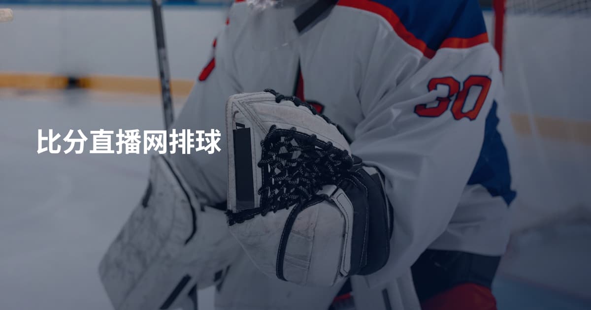 比分直播网排球