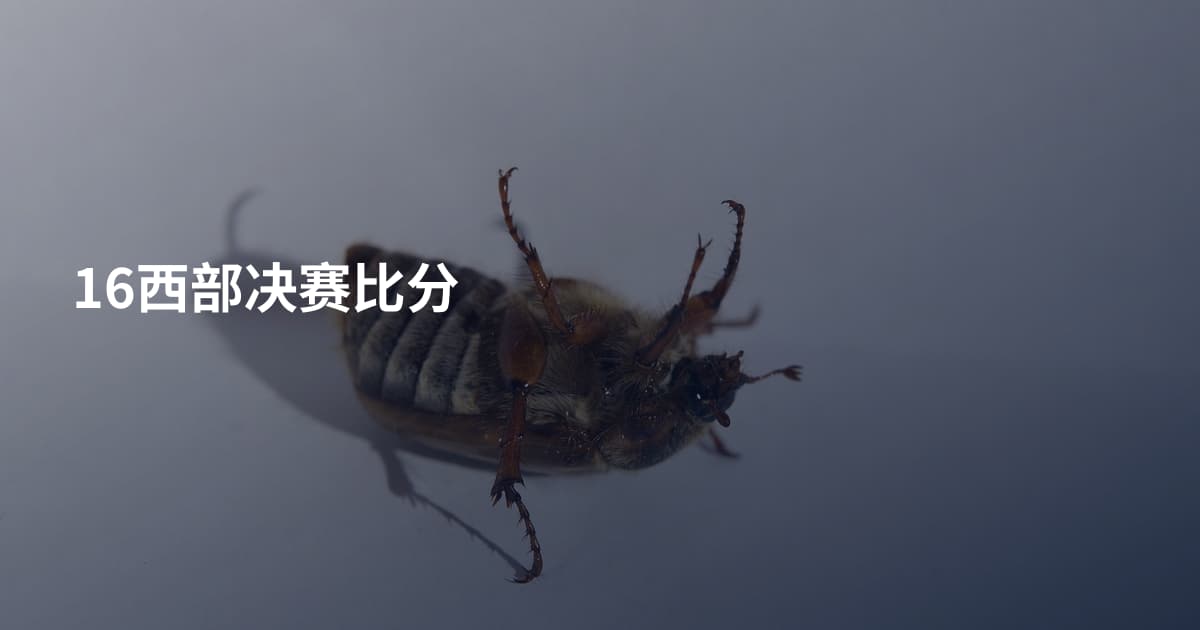 16西部决赛比分
