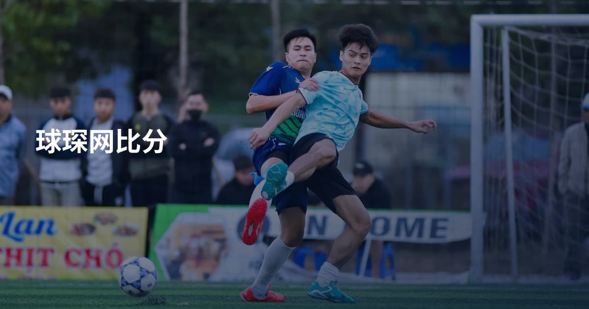 球琛网比分