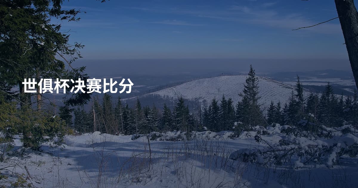 世俱杯决赛比分