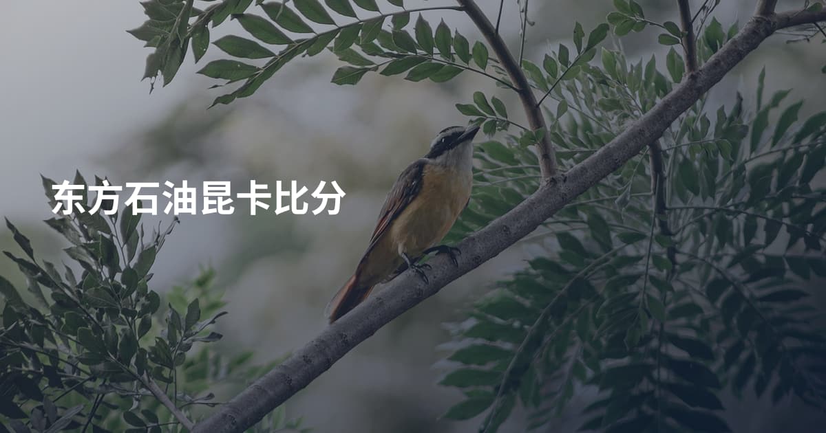 东方石油昆卡比分