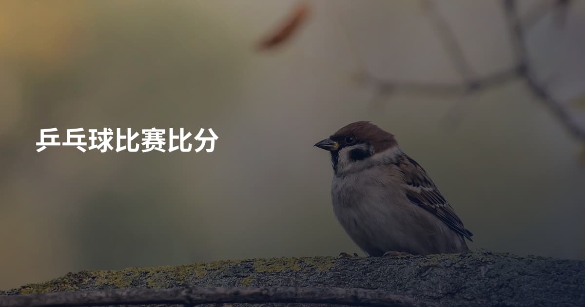 乒乓球比赛比分