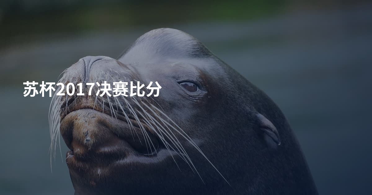 苏杯2017决赛比分