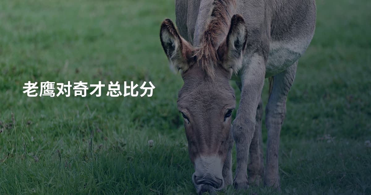 老鹰对奇才总比分