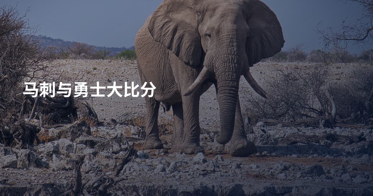 马刺与勇士大比分