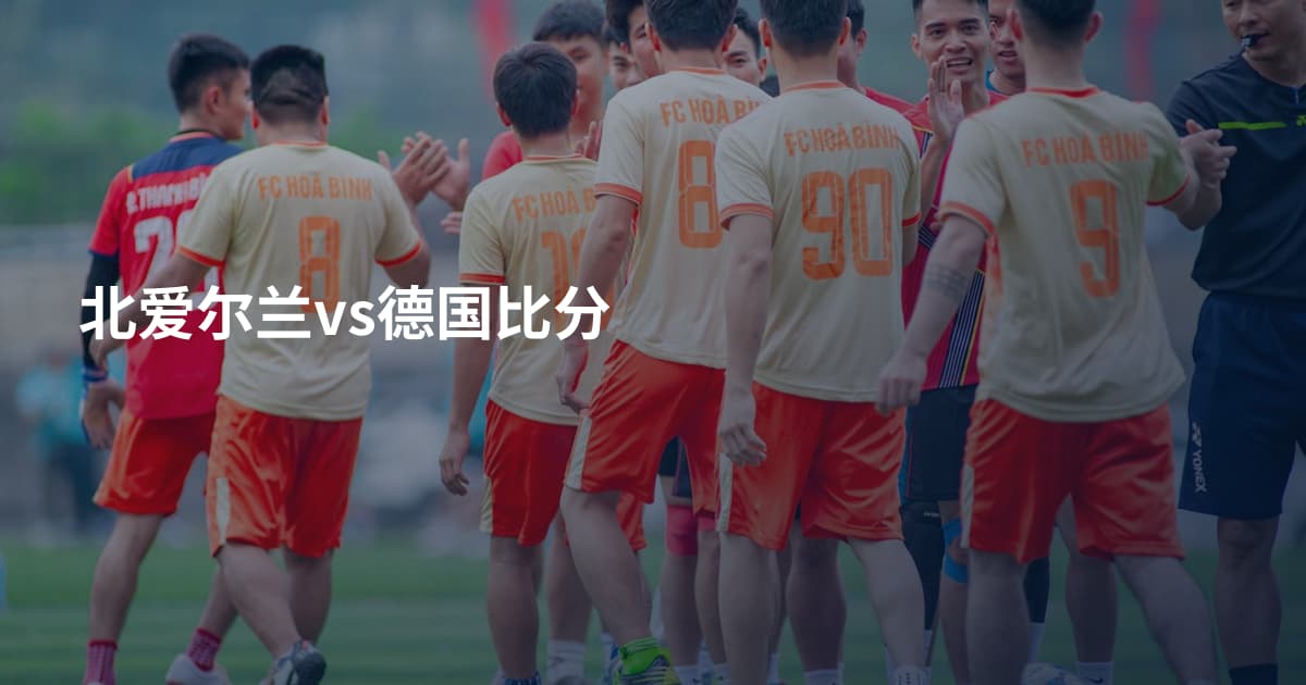 北爱尔兰vs德国比分