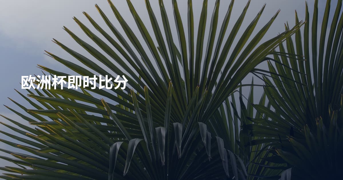 欧洲杯即时比分
