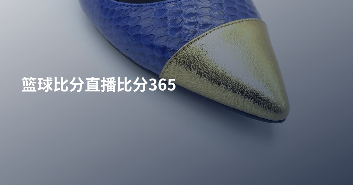篮球比分直播比分365