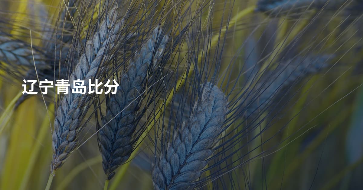 辽宁青岛比分
