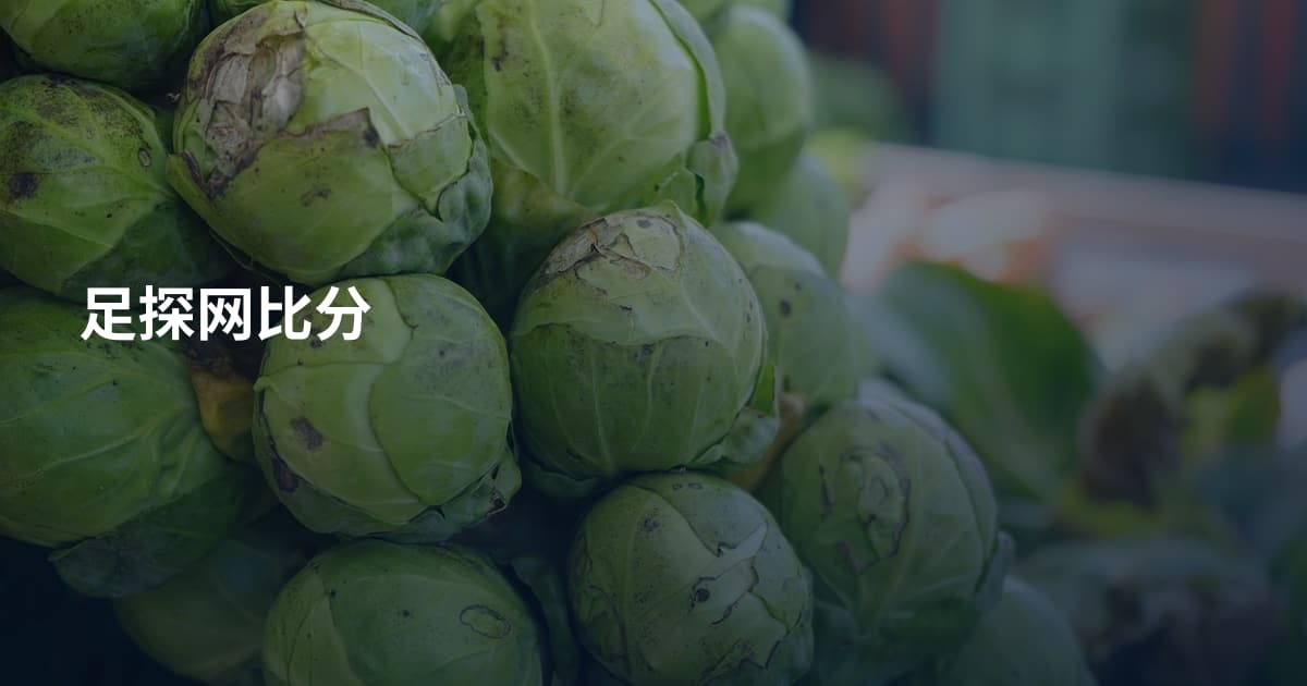 足探网比分