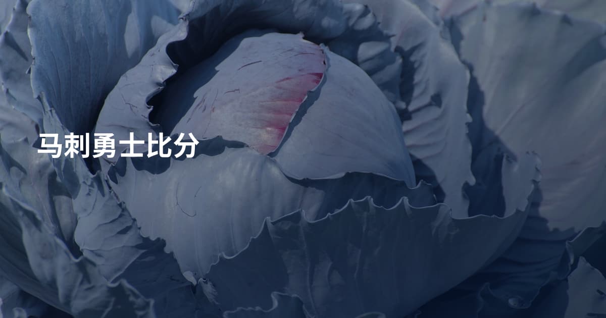 马刺勇士比分
