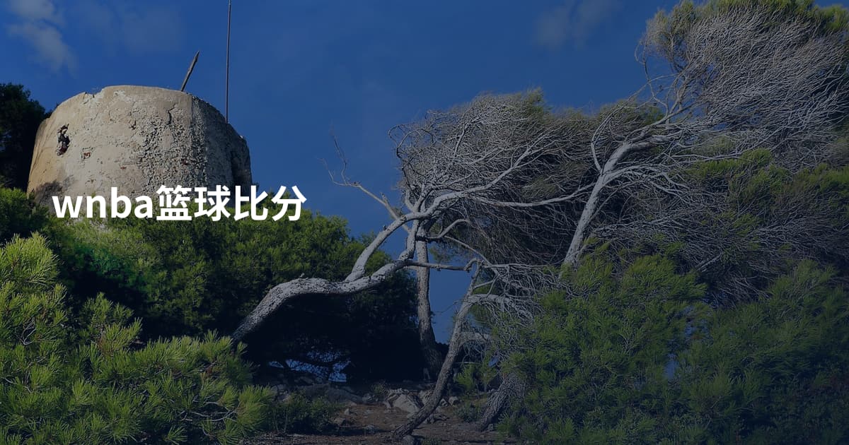 wnba篮球比分