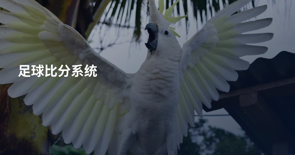 足球比分系统