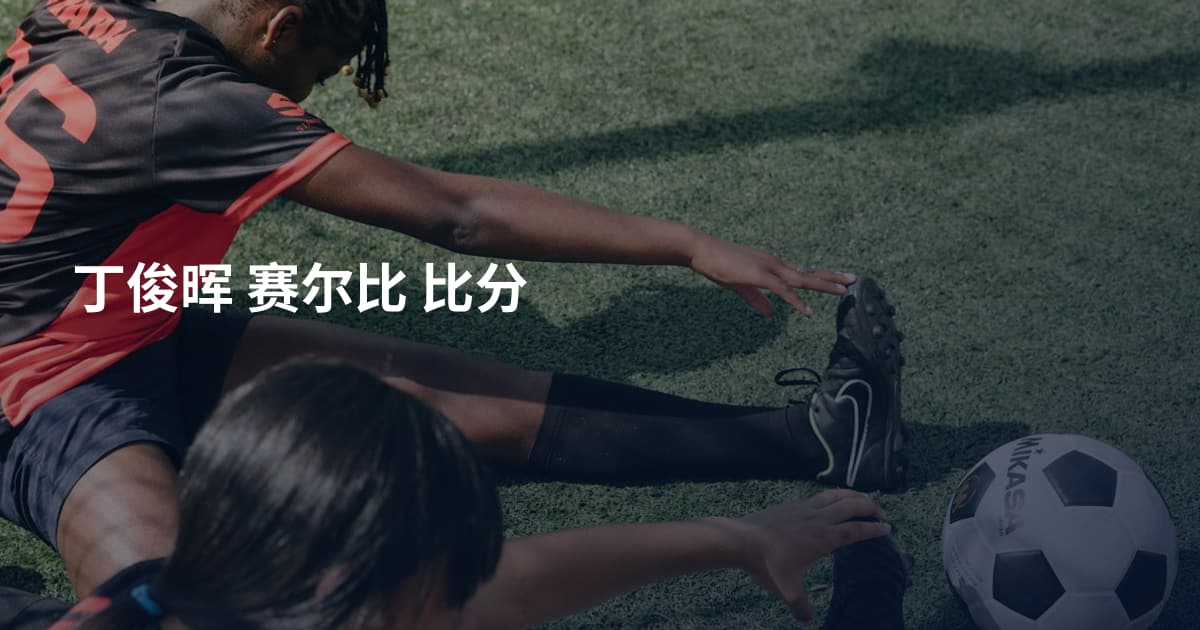 丁俊晖 赛尔比 比分