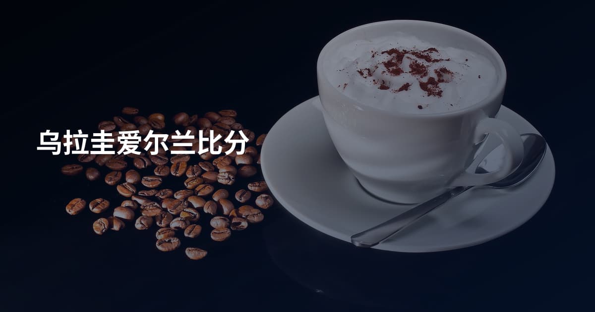 乌拉圭爱尔兰比分