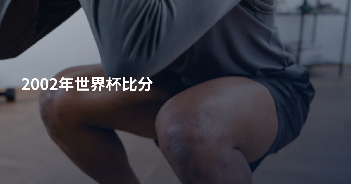 2002年世界杯比分