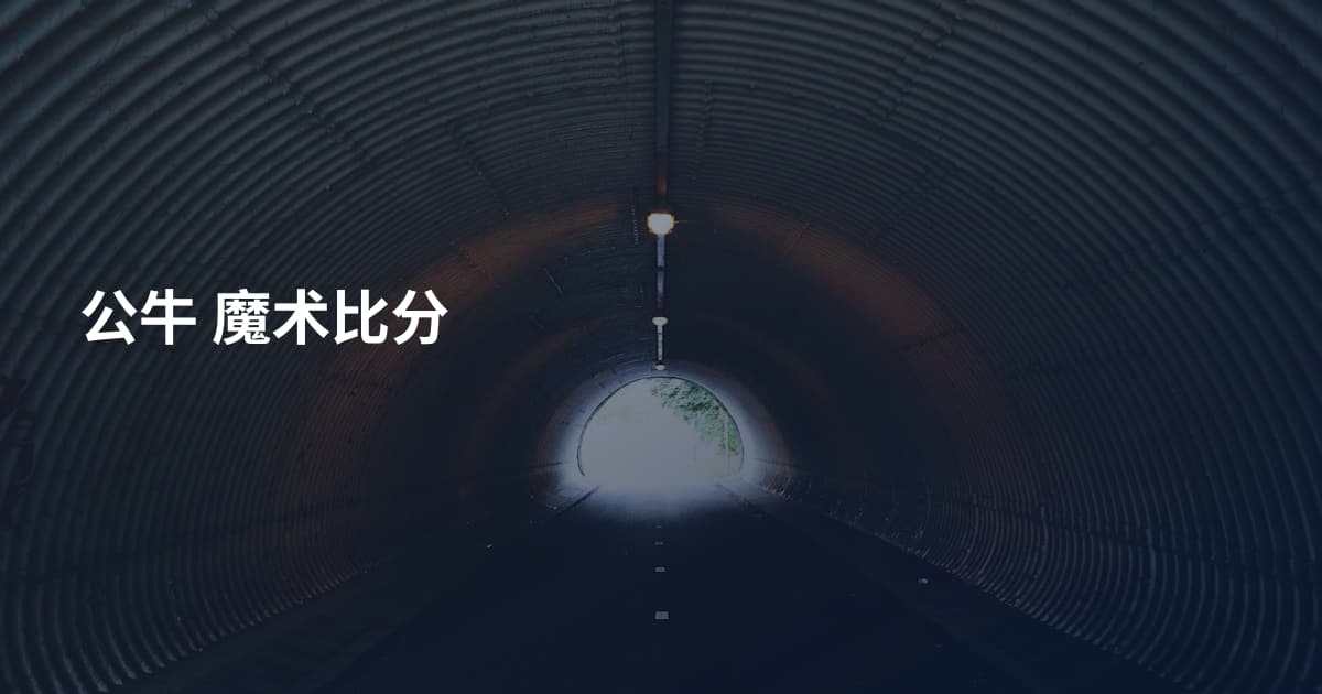 公牛 魔术比分