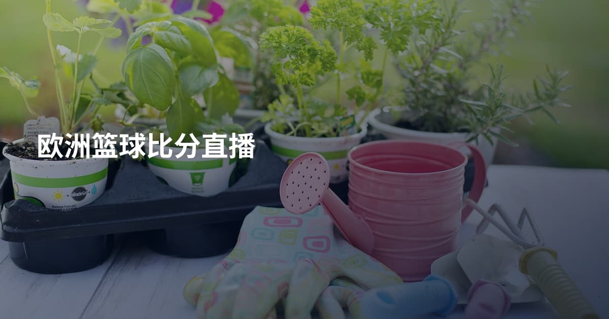欧洲篮球比分直播