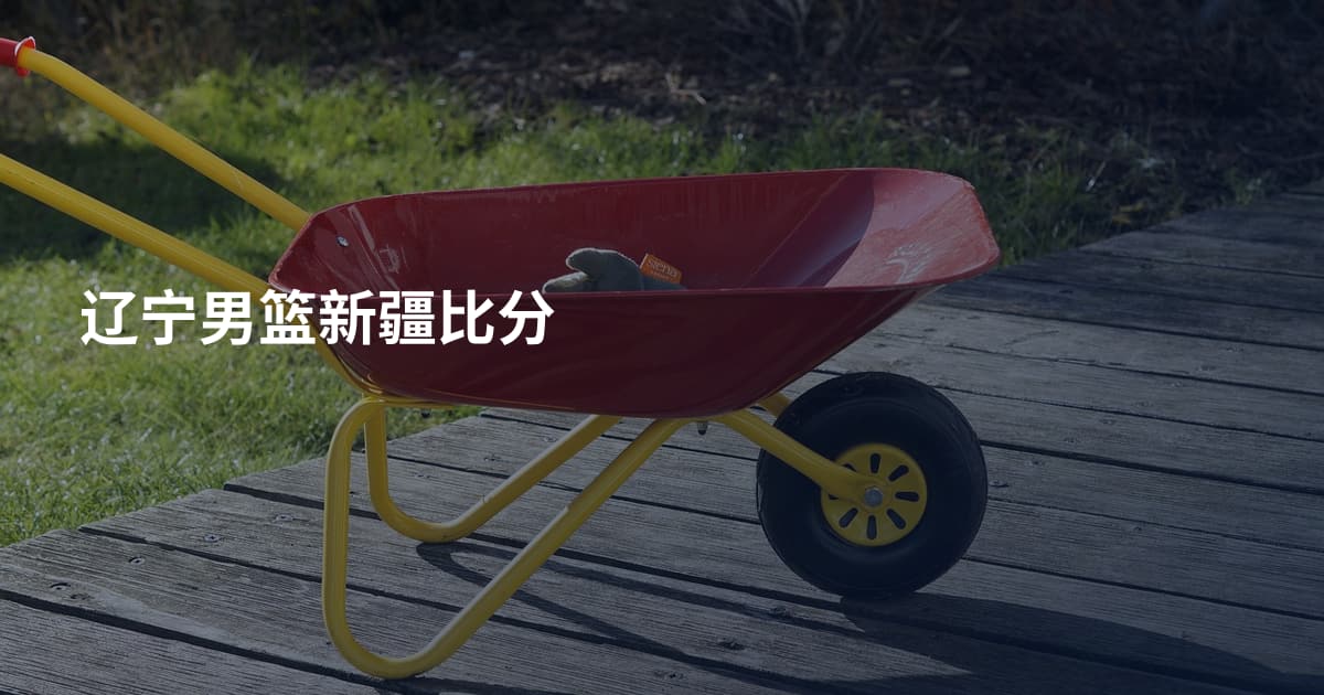 辽宁男篮新疆比分